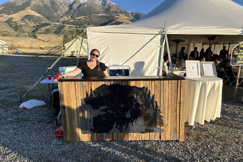 Beautiful bar stand