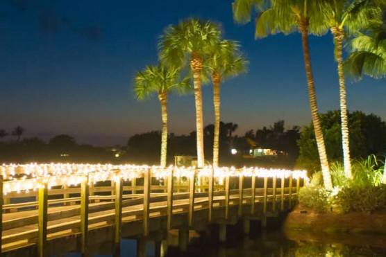 Evening bridge lights