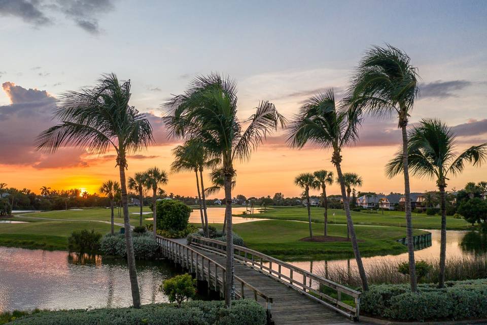 Swaying Palms