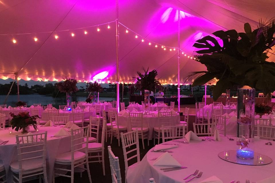 Tented Reception