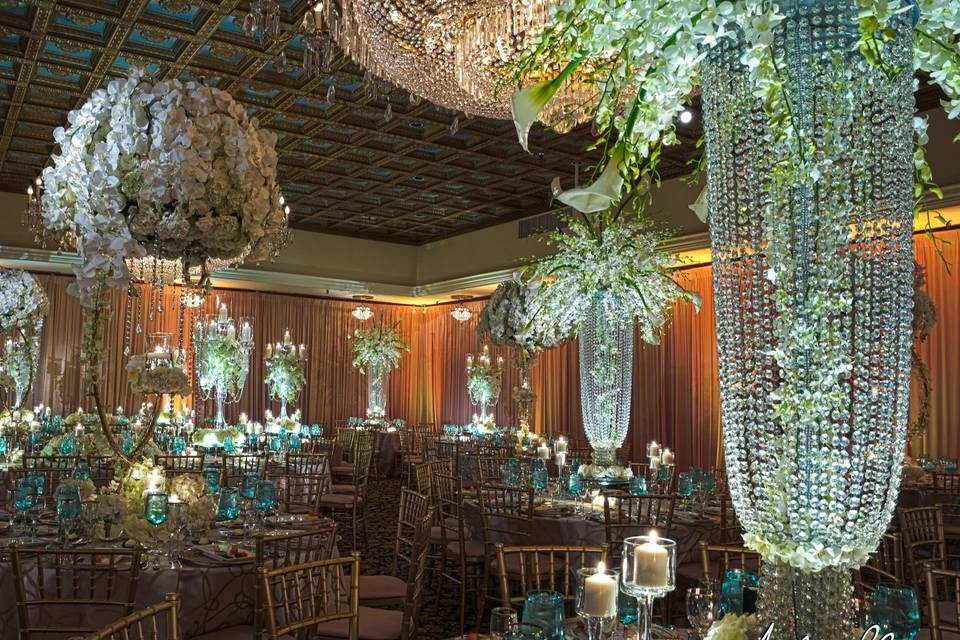 Aqua Rose Reception