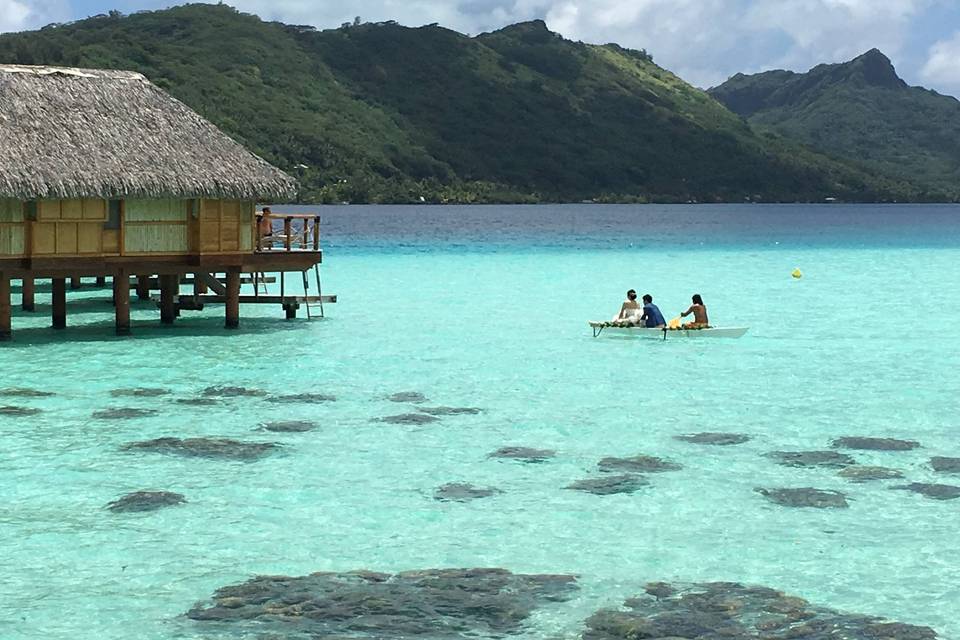 Bora Bora Wedding