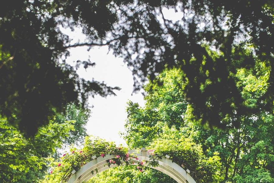 Wedding arch