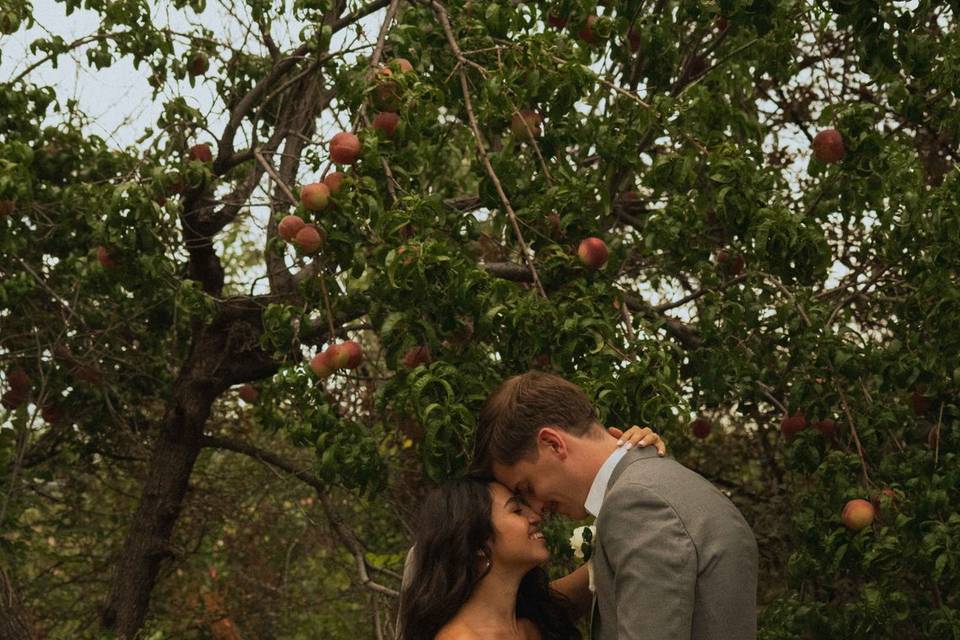 Couples portraits