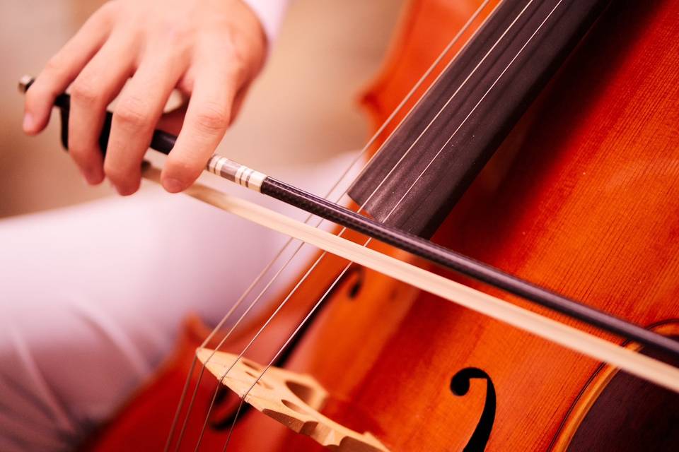 Cello bow closeup shot