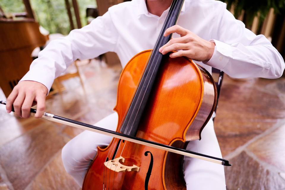 Cello playing closeup shot