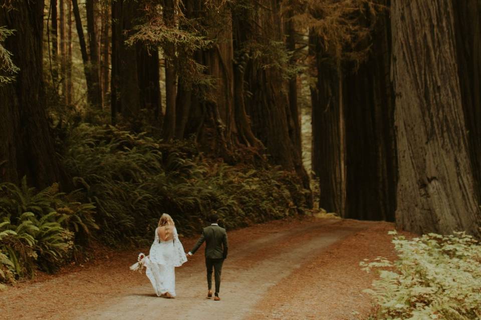 Redwoods Elopement