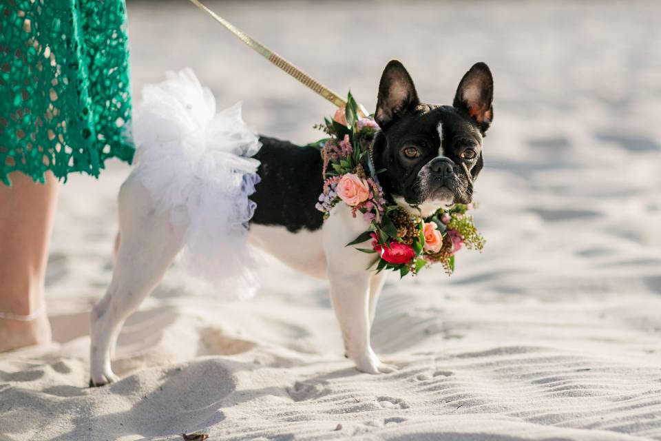 Destination Key West Wedding