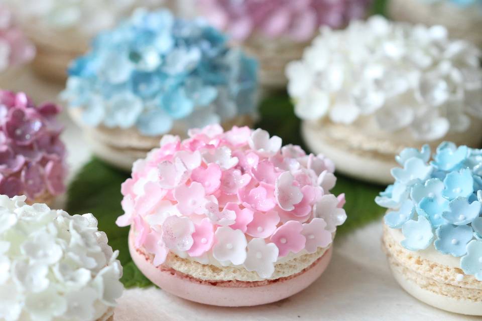 Hydrangea macarons