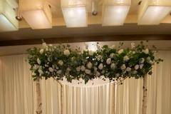 Rental birch chuppah