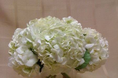 Scentsational Florals - AFFORDABLE!