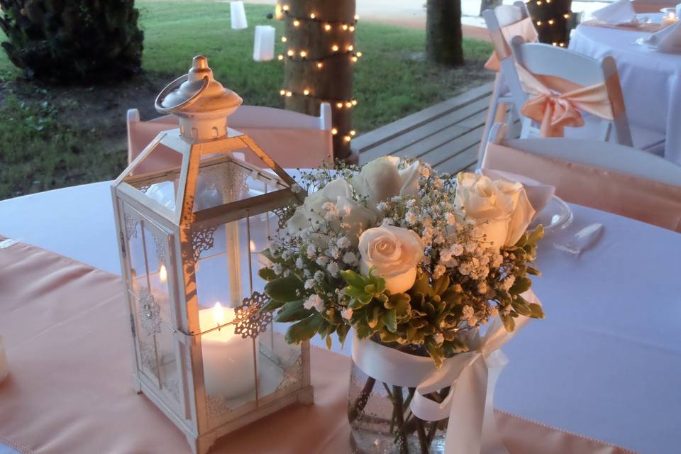 Beautiful sunset casts a glow on white sweetheart roses.