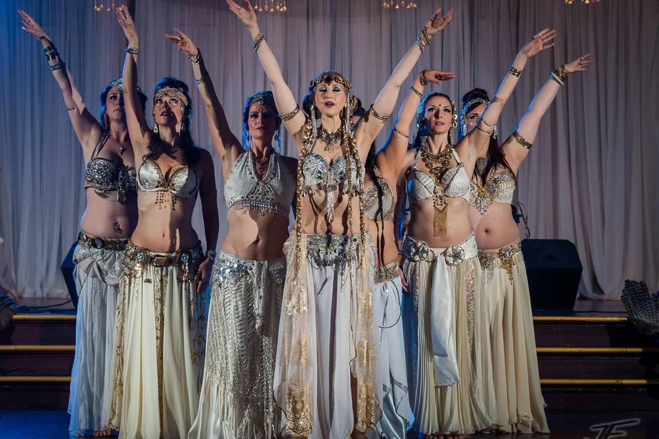 Belly Dance Entertainment