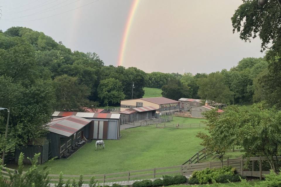 Hillenglade Farms - Rainbow