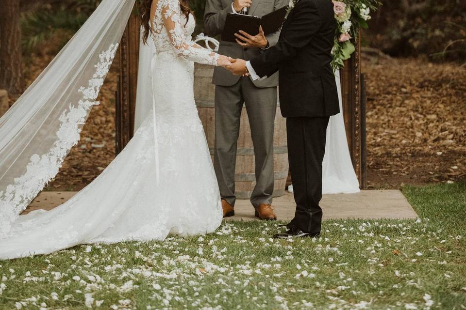 Gabe + Yesenia // Temecula, CA