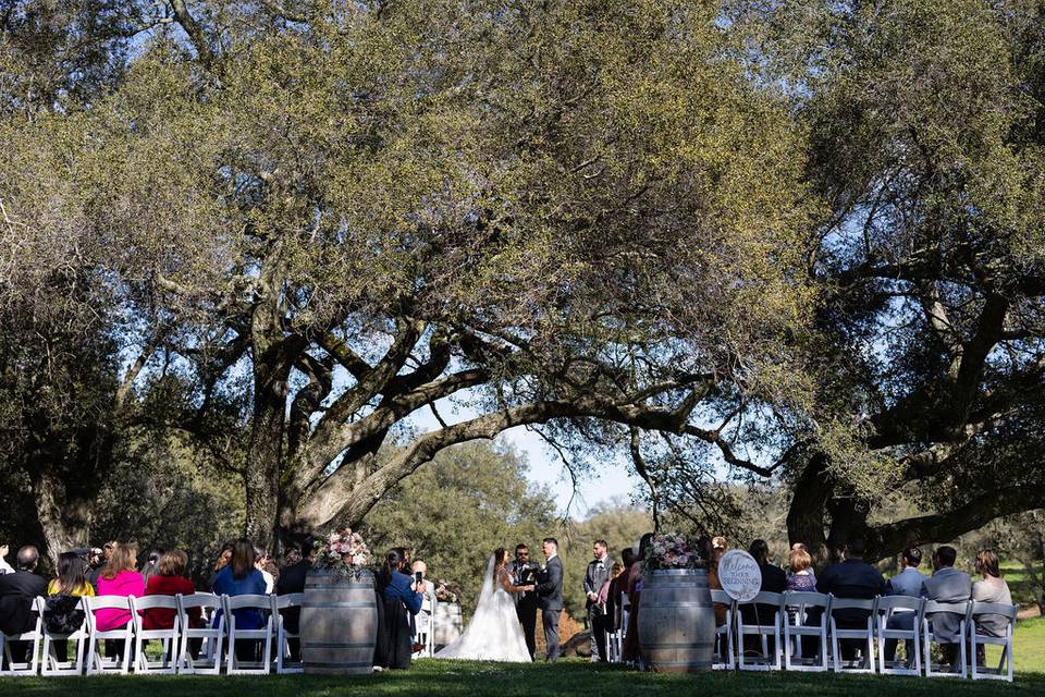 Madison + Ray // Vista, CA