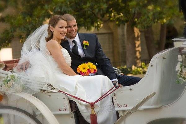 Horse Carriage