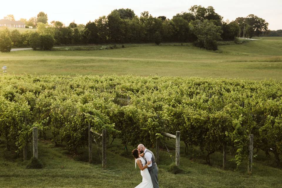 Couple standing in a field - Peter Newsom Photography