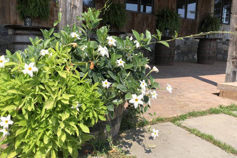 Outside Barn