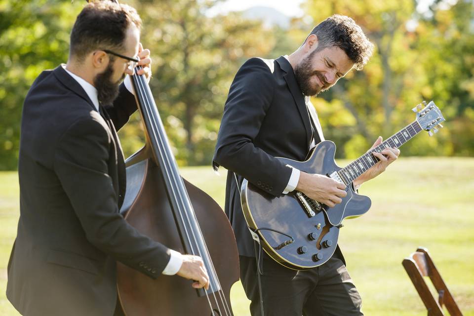 Upright bass and guitar