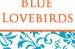 Blue Lovebirds