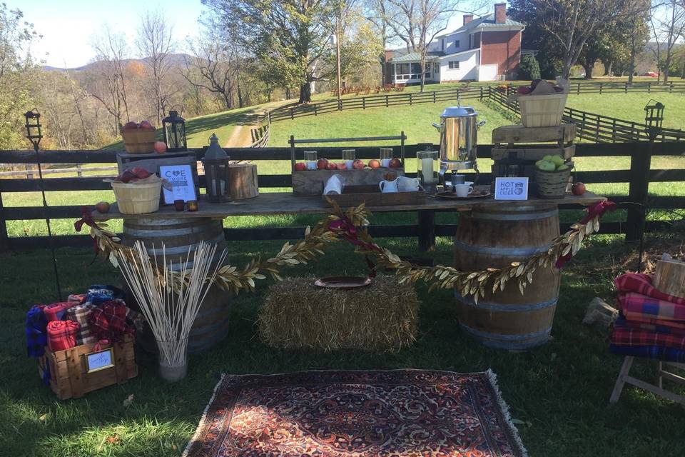 Rustic bar area