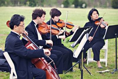 Arioso Strings quartet