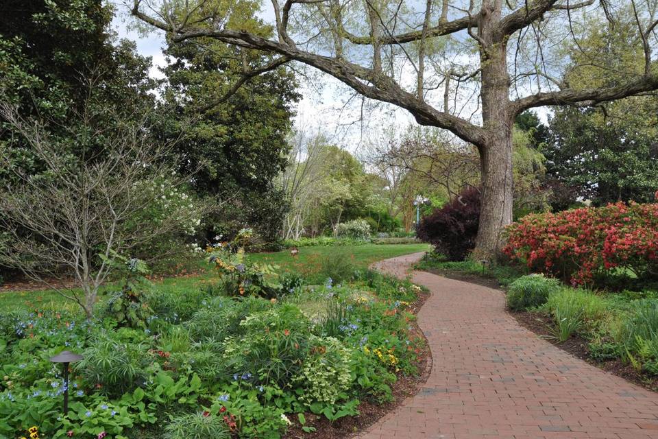 Arioso Strings Duke Gardens