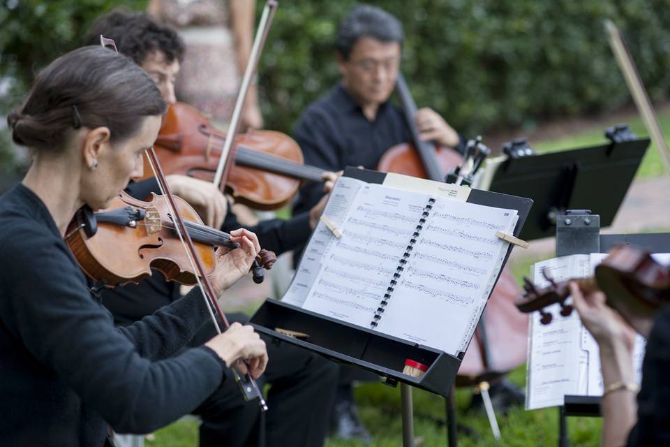 Arioso Strings Duke Gardens