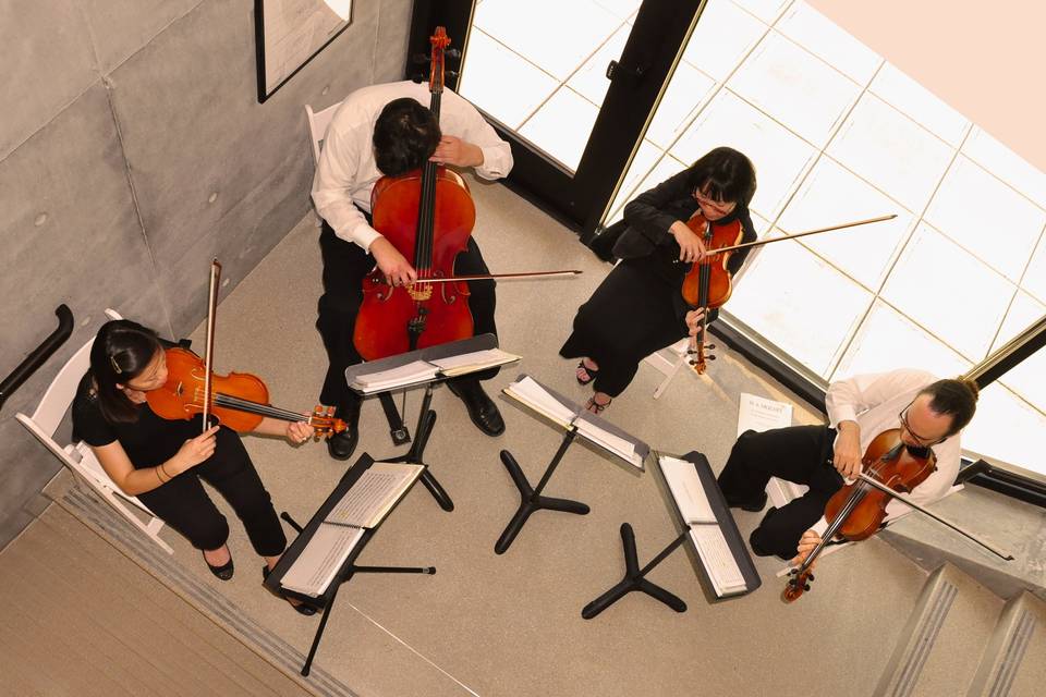 Arioso Strings at AIA
