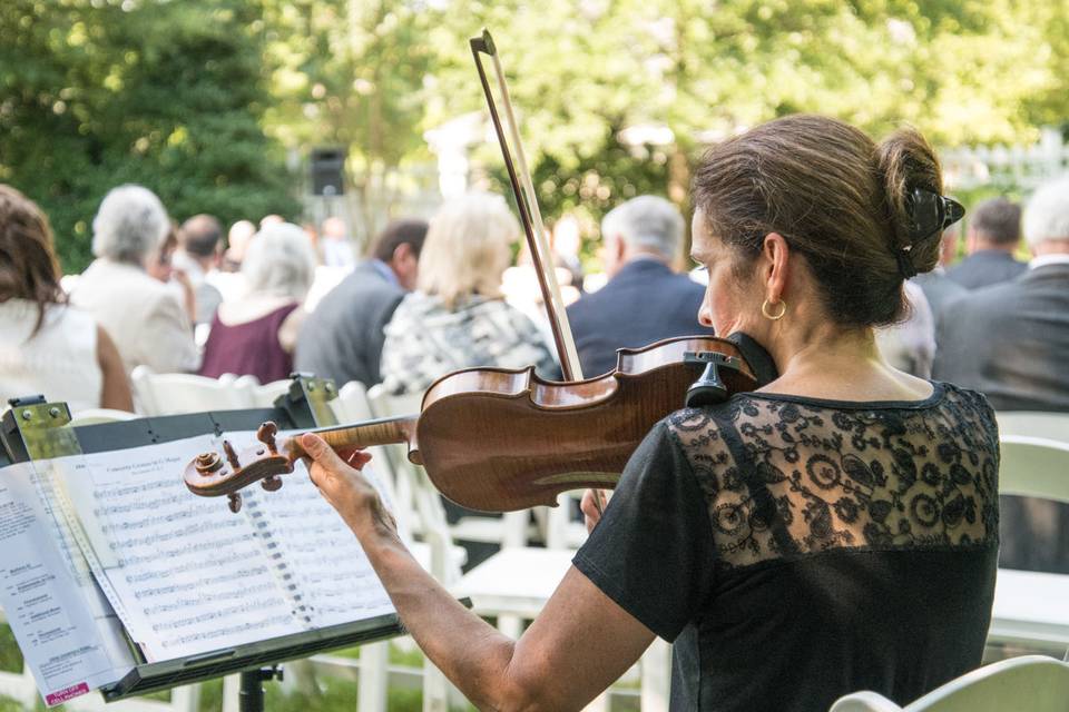 Arioso Strings Quintet