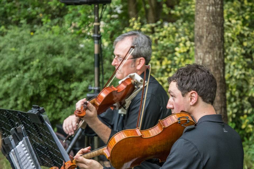 Arioso Strings Quintet