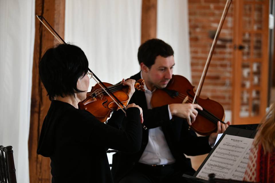 Arioso Strings quartet