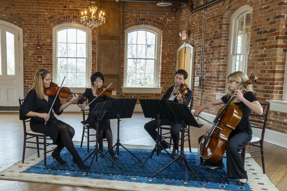 Arioso Strings quartet