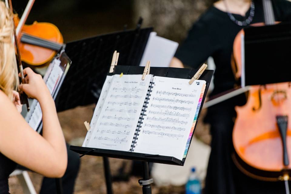 Umstead Hotel String Quartet