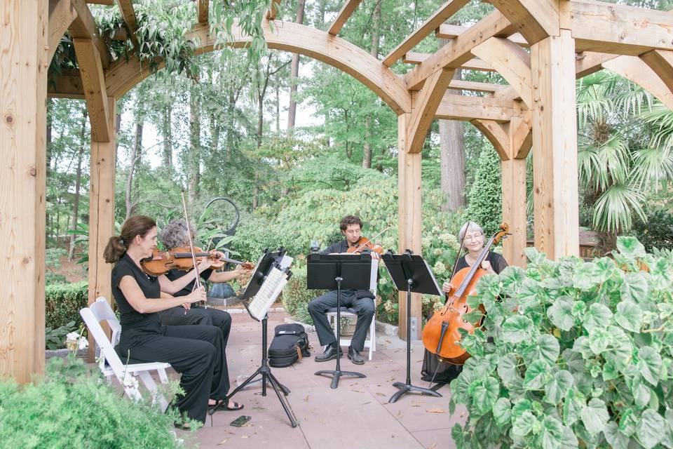 Arioso Strings Duke Gardens