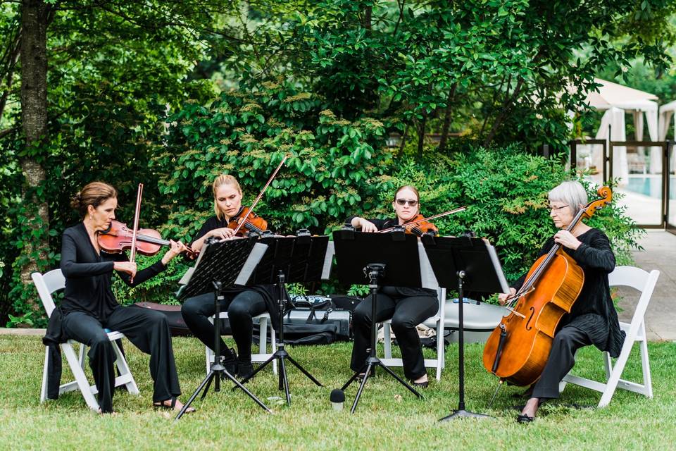 Umstead Hotel String Quartet