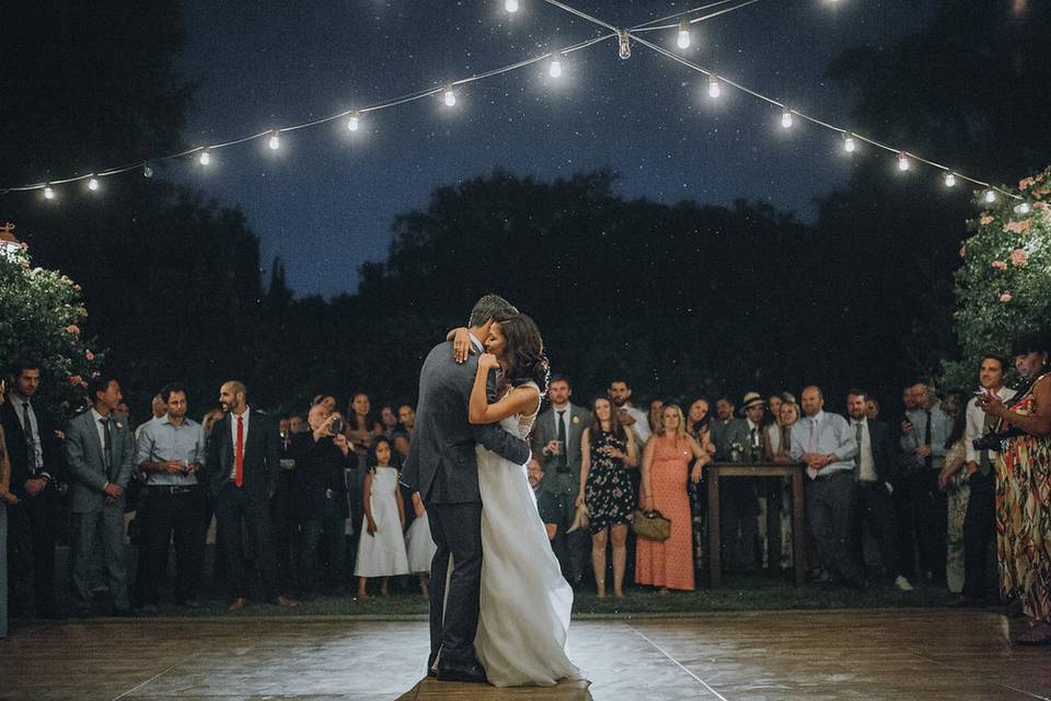 First Dance in the Moonlight