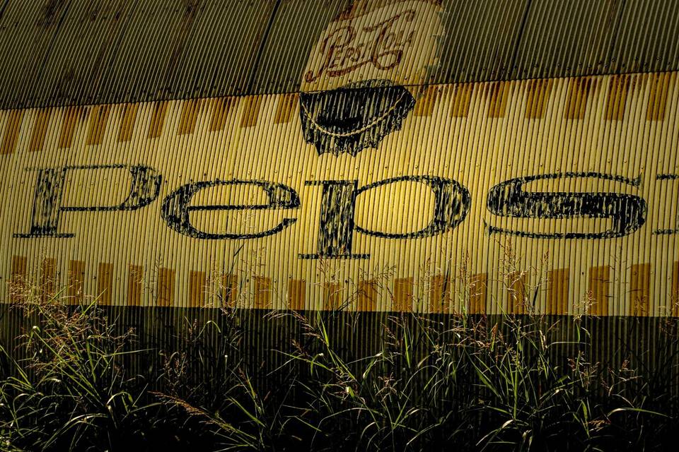 Classic logo still - Stone Focus Production