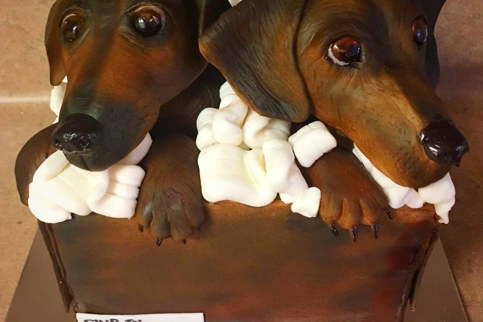 Sculpted pet cake