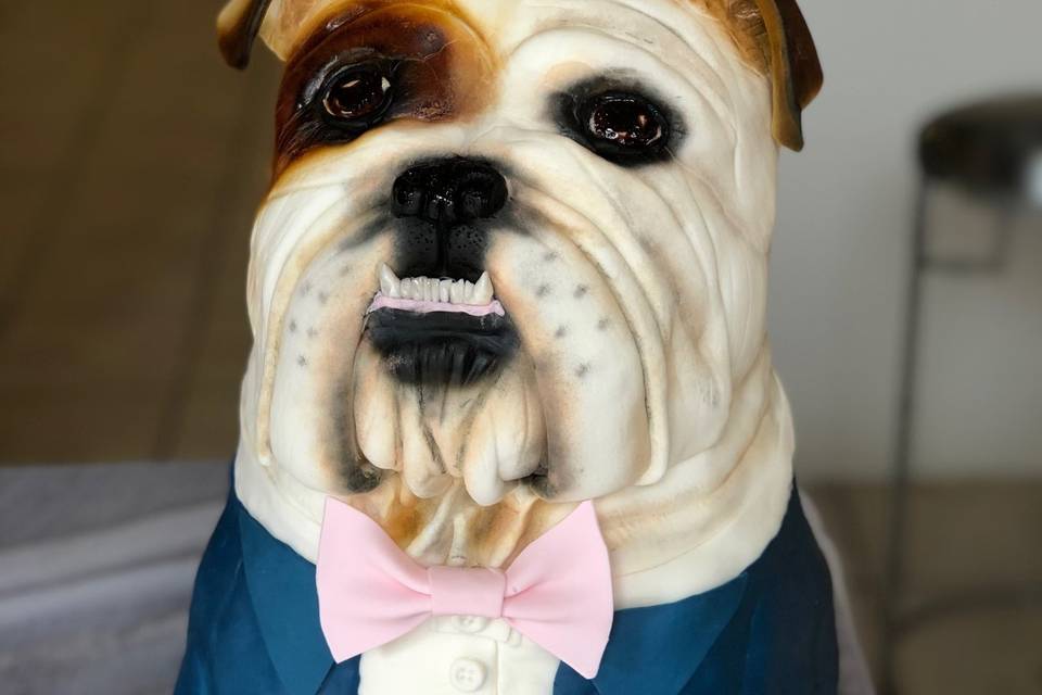 Sculpted pet Bulldog in Suit