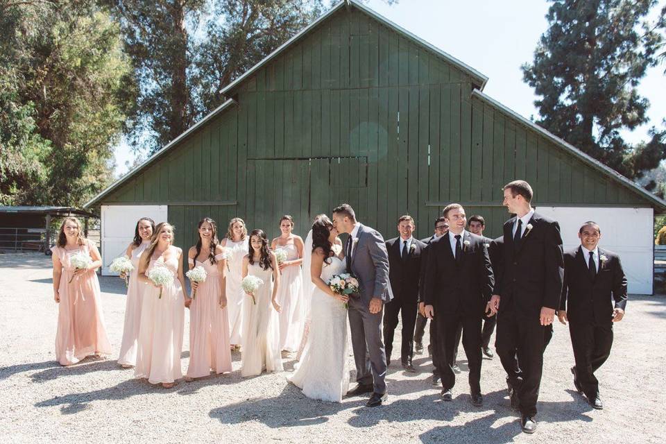 The couple with the bridesmaids and groomsmen