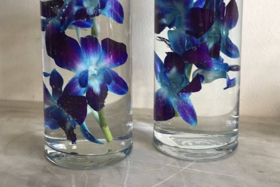 Simple Orchids