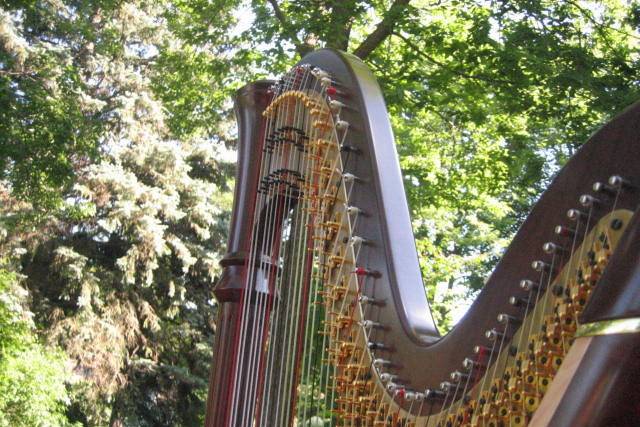 Stephanie Claussen, harpist