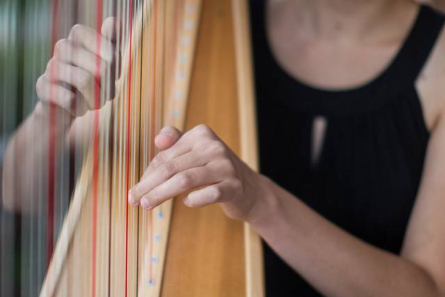 Stephanie Claussen, harpist