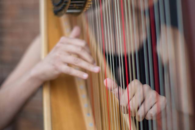 Stephanie Claussen, harpist