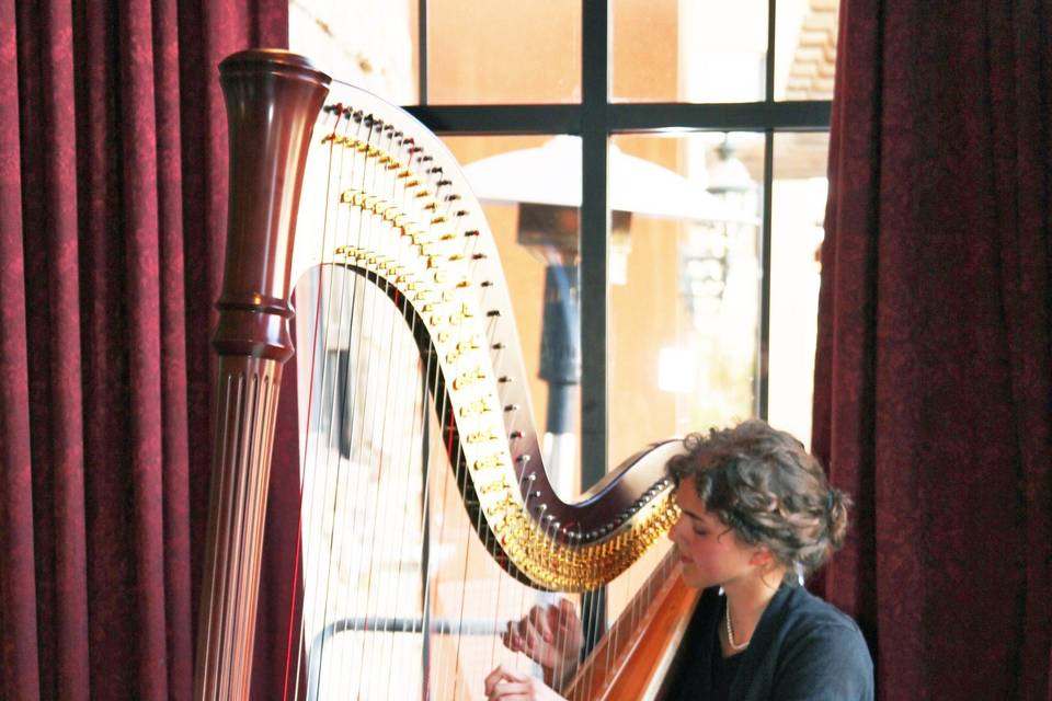 Stephanie Claussen, harpist