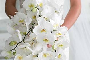 Bride's bouquet