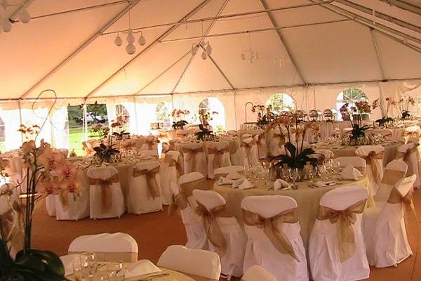 Belle's Party & Tent Rental