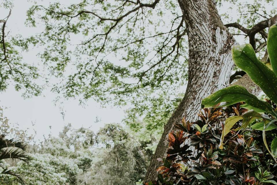 Oahu Wedding